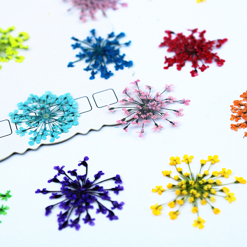 500pcs Lace Flowers Dried Flow - Resin Art Baby 评论和价格